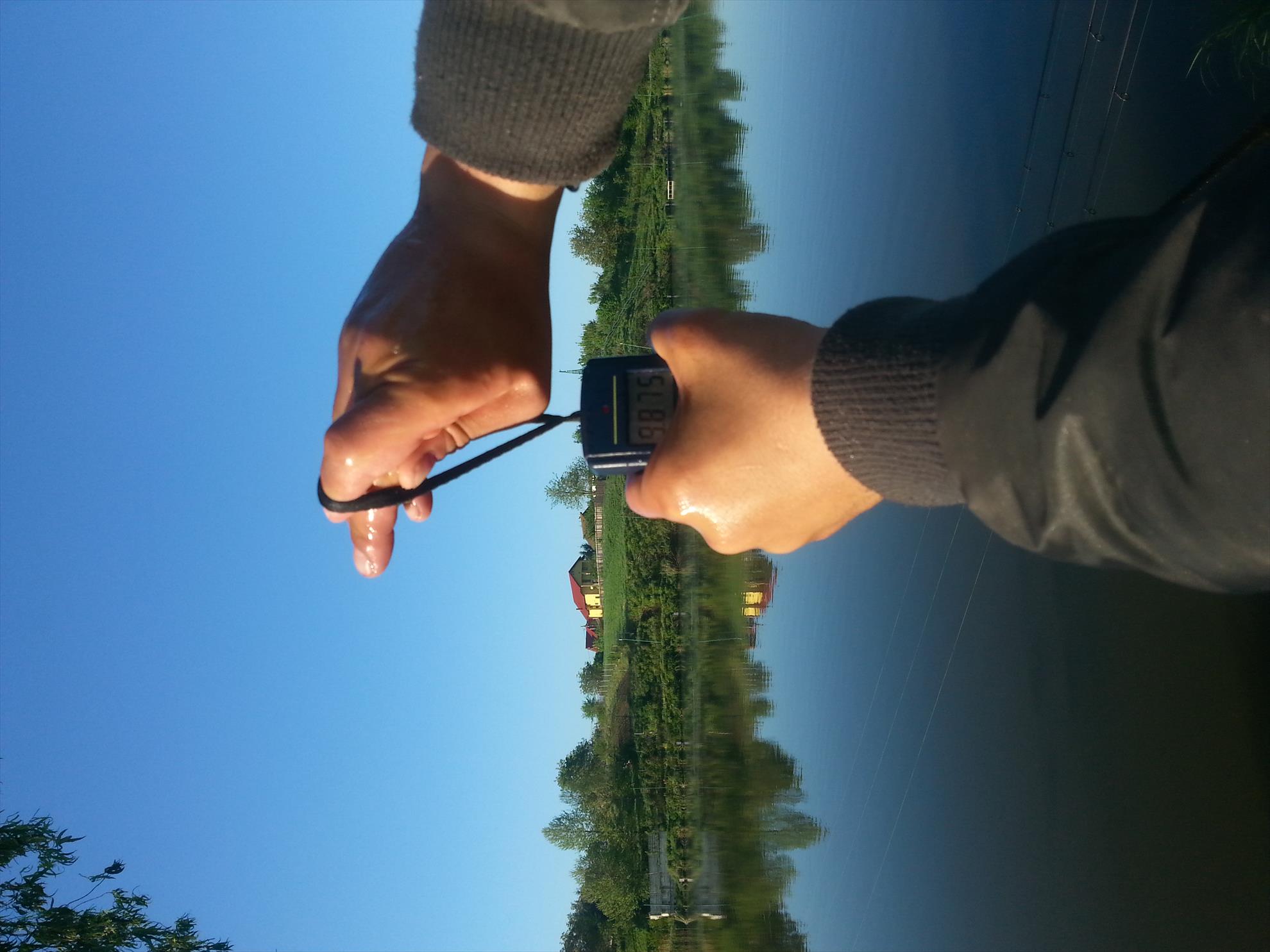 Moara Vlasiei 2 21 - 22 aprilie 2016 - 20160422080304.jpg